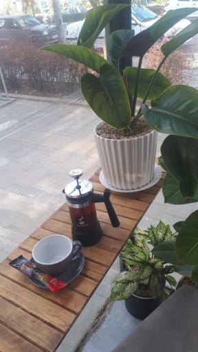 عکس کافه سوین