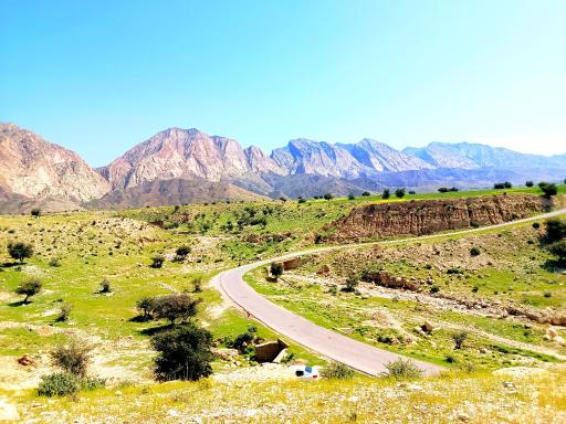 عکس میداوود