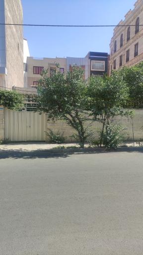 عکس موسسه باور