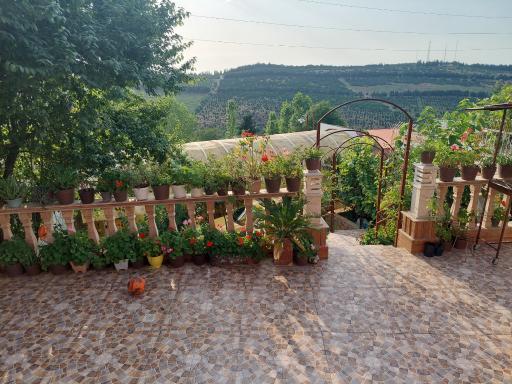 عکس اقامتگاه ایمن خواب شمال مهدشت 