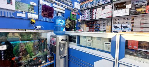 عکس دزدگیر شهر