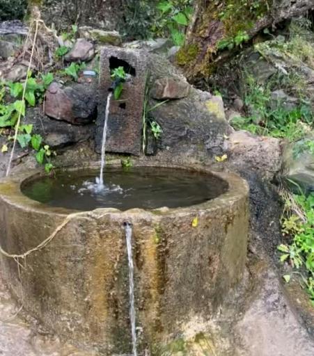 عکس ایستگاه اول مسیر جنگل پیمایی الیمستان - امامزاده قاسم