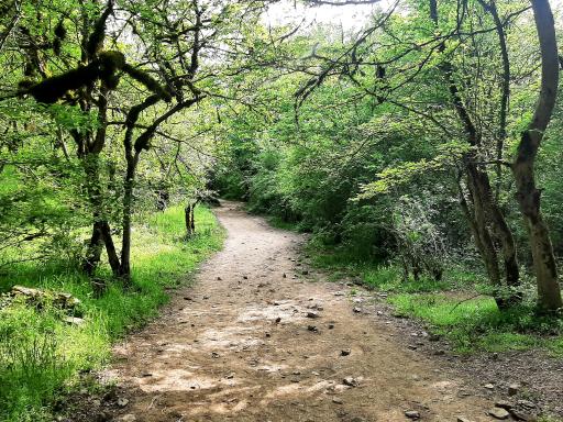 عکس ایستگاه اول مسیر جنگل پیمایی الیمستان - امامزاده قاسم