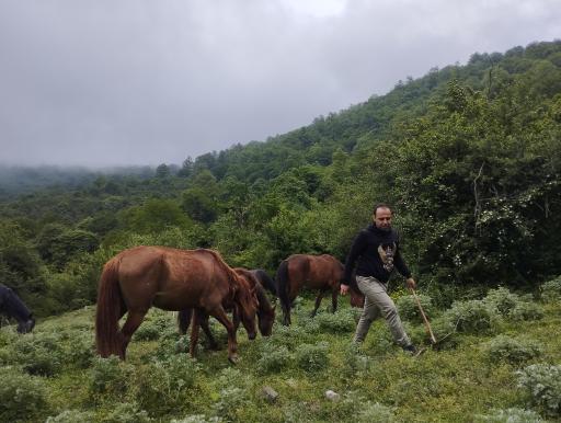 عکس ایستگاه اول مسیر جنگل پیمایی الیمستان - امامزاده قاسم