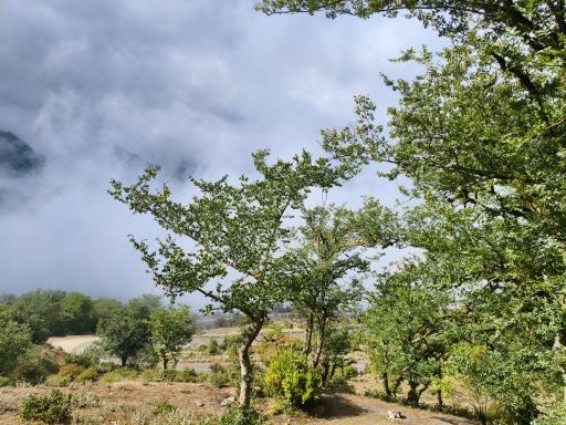 عکس ایستگاه اول مسیر جنگل پیمایی الیمستان - امامزاده قاسم