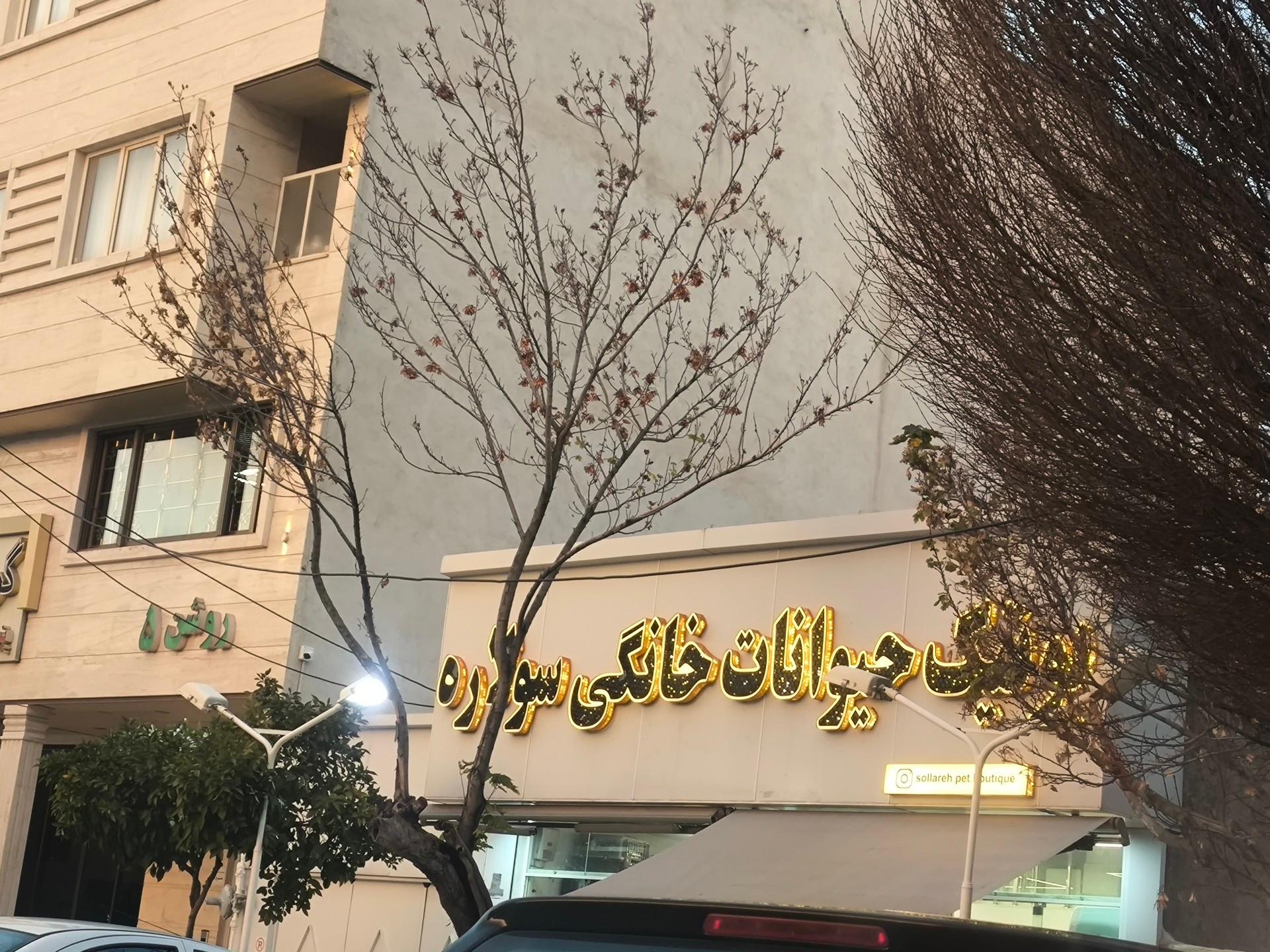 عکس بوتیک‌ حیوانات خانگی سولاره