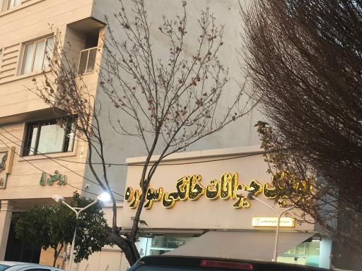 بوتیک‌ حیوانات خانگی سولاره