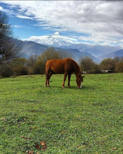 عکس ایستگاه اول مسیر جنگل پیمایی الیمستان - امامزاده قاسم