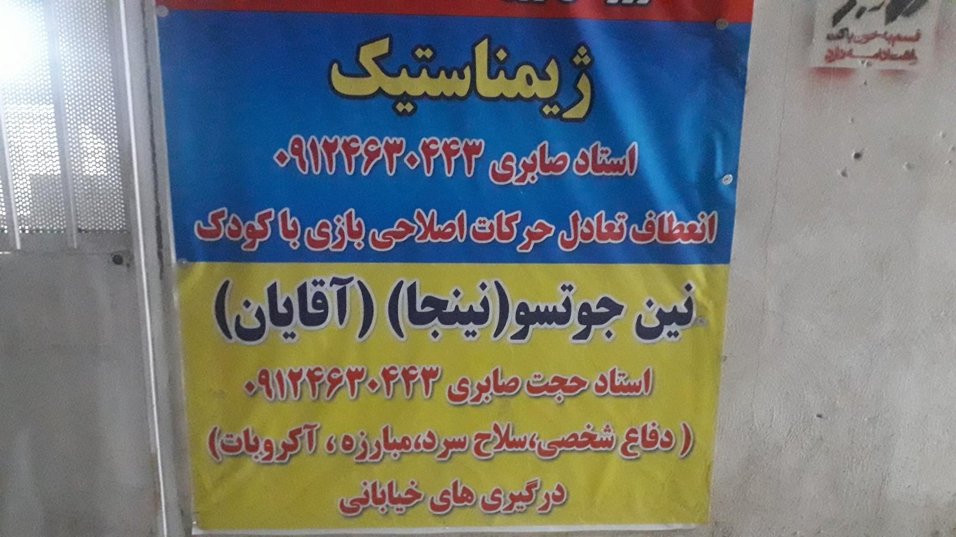 عکس باشگاه رزمی نینجوتسو(نینجا)
