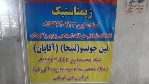 عکس باشگاه رزمی نینجوتسو(نینجا)