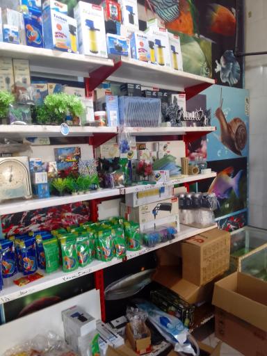 عکس آکواریوم حلزون