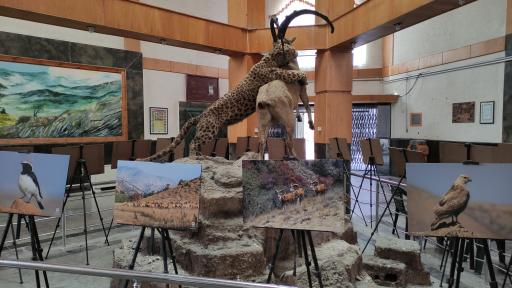 عکس موزه حیات وحش پارک ملی گلستان