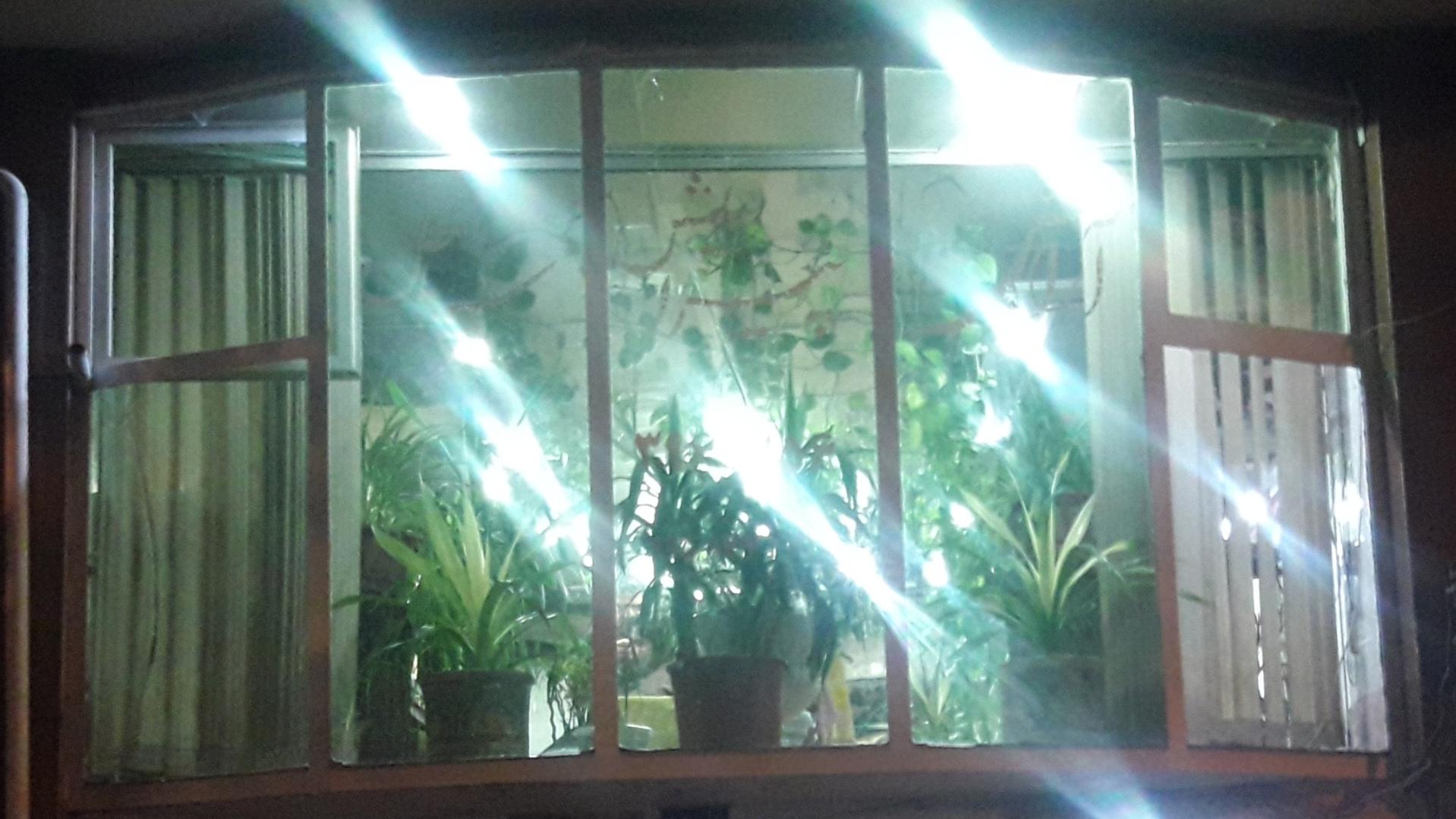 عکس آرایشگاه اصغر خیابانی