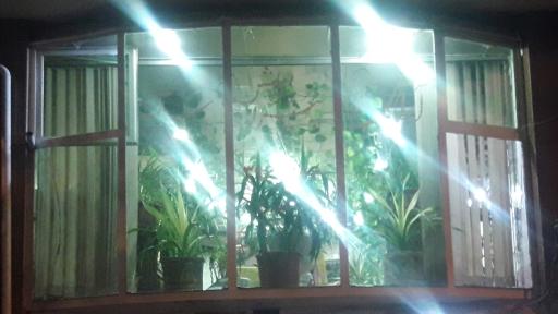 عکس آرایشگاه اصغر خیابانی