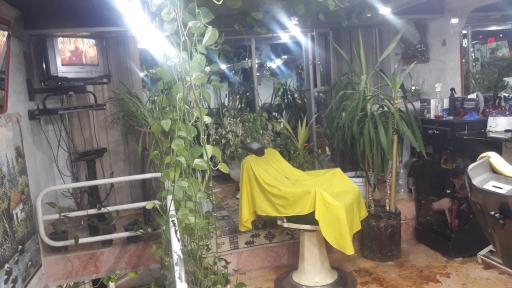 عکس آرایشگاه اصغر خیابانی