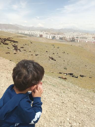 عکس فاز هشت