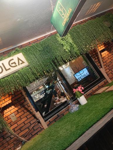 عکس کافه ٱلگا