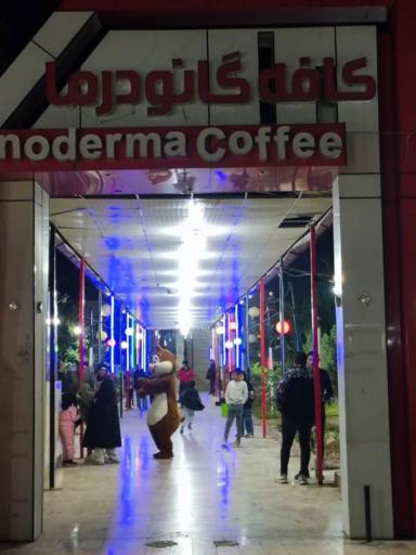 عکس کافه گانودرما