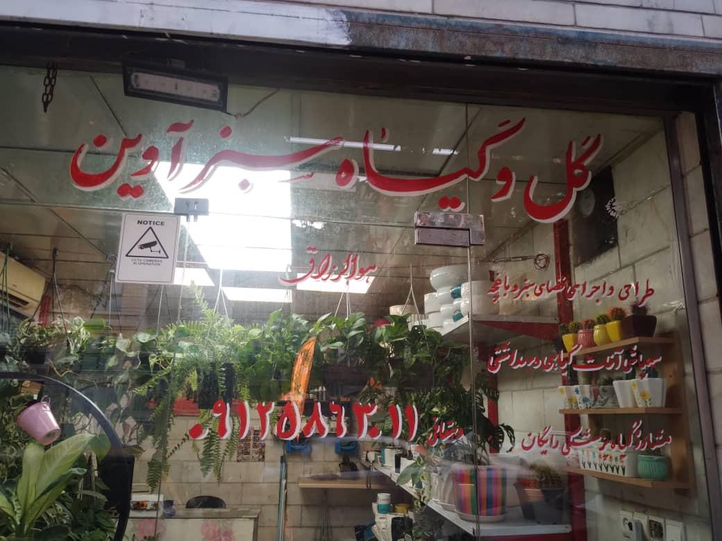 عکس گل و گیاه سبز آوین