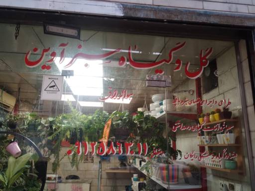 عکس گل و گیاه سبز آوین