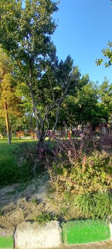 عکس بوستان جواهری