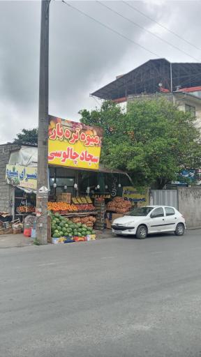 عکس ارزانسرای میوه
