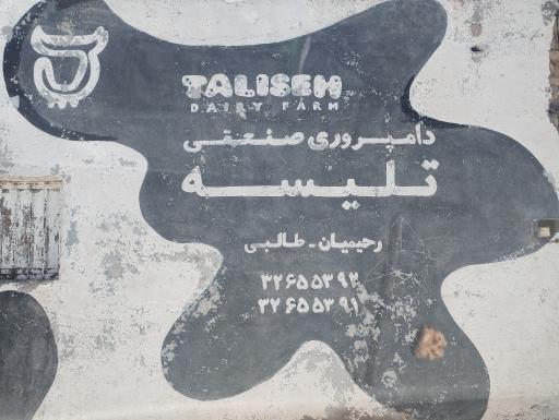 عکس دامداری