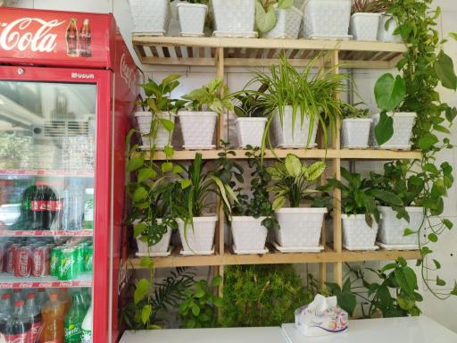 عکس فست  فود حکیم