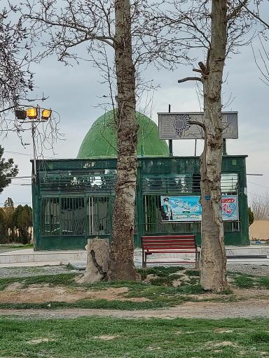 عکس امامزاده شاهزاده منصور