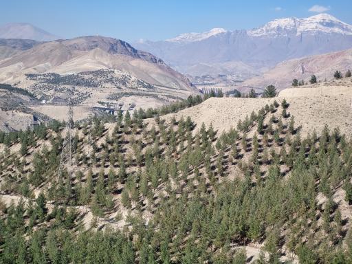 عکس مرکز تفریحی و کلبه جنگلی جاجرود