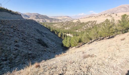 عکس مرکز تفریحی و کلبه جنگلی جاجرود