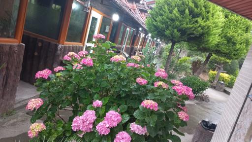 عکس رستوران سپه سرا