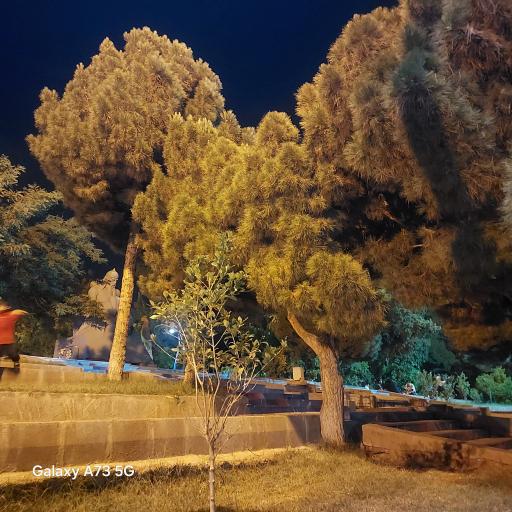 عکس باغ ملی