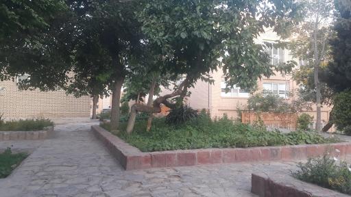 عکس باغ ملی