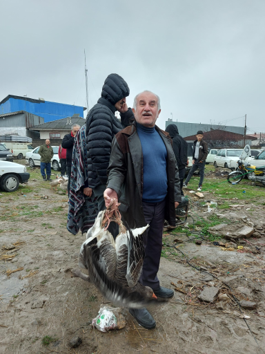 عکس پنجشنبه بازار