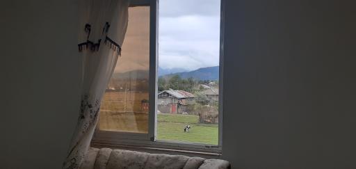 عکس اسکان ترنم