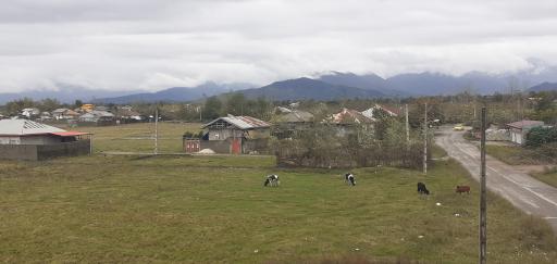 عکس اسکان ترنم