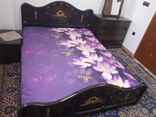 عکس اسکان ترنم