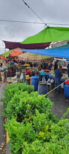 عکس پنجشنبه بازار