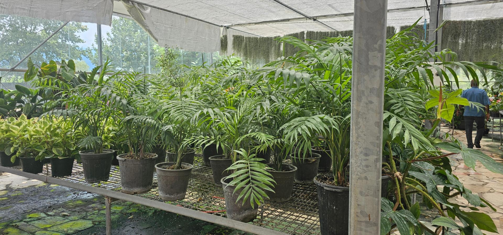 عکس فروشگاه گل و گیاه زارعی