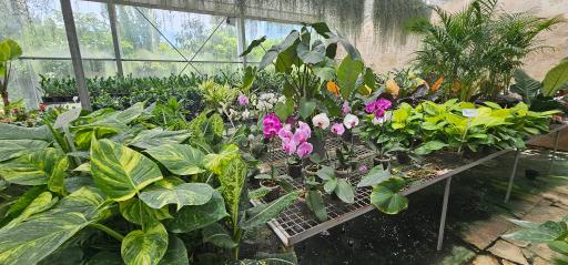 عکس فروشگاه گل و گیاه زارعی