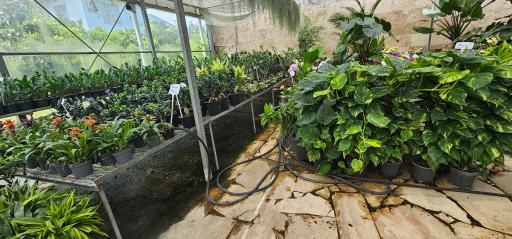 عکس فروشگاه گل و گیاه زارعی