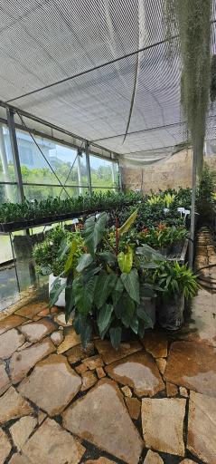 عکس فروشگاه گل و گیاه زارعی