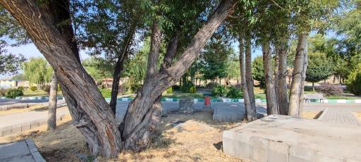 عکس پارک هریس