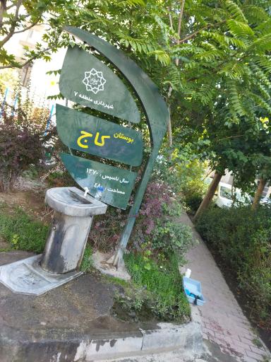 عکس بوستان کاج