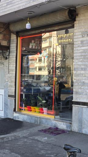 عکس پیرایش صفوی