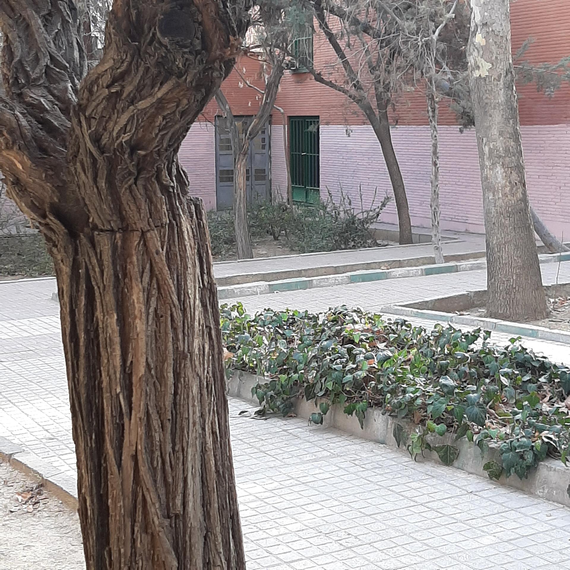 عکس کتابخانه کانون پرورش فکری کودکان و نوجوانان