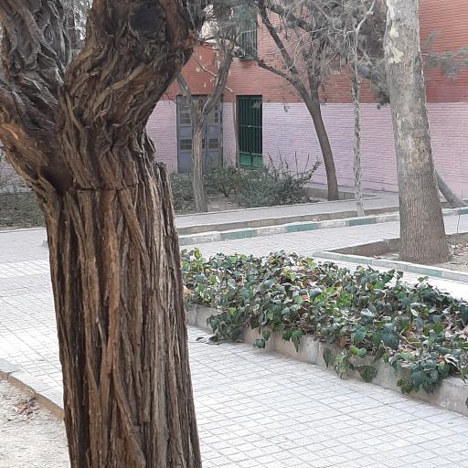 عکس کتابخانه کانون پرورش فکری کودکان و نوجوانان