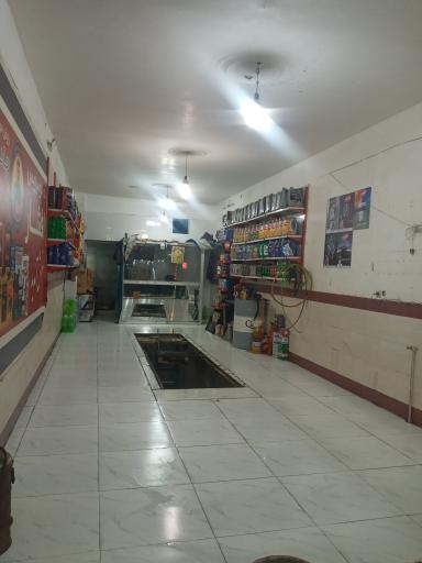 عکس اتوسرویس چمنی