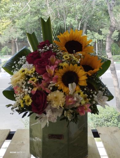 عکس گلسرای بهار